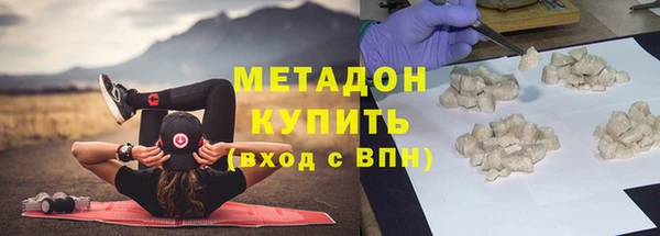 сатива Горняк