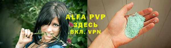 сатива Горняк