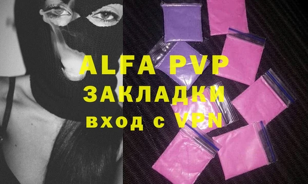 сатива Горняк