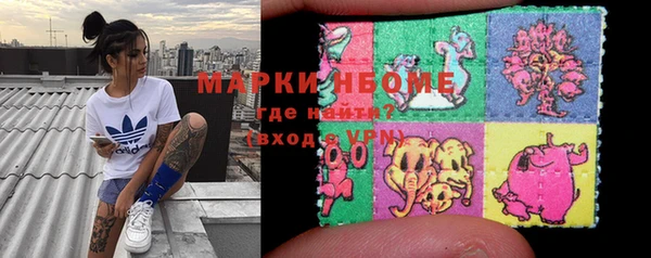 сатива Горняк