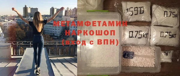 сатива Горняк