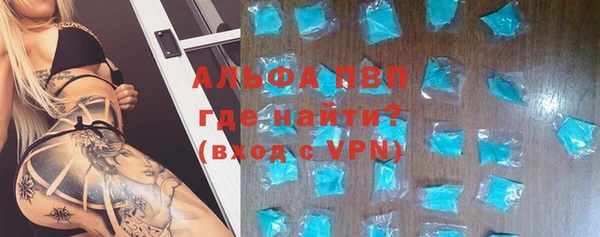 сатива Горняк