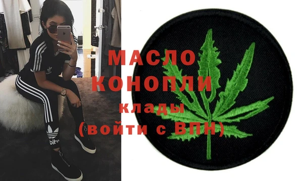 сатива Горняк